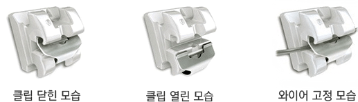 클리피씨(Clippy-C) 포인트