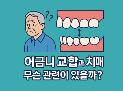 어금니 교합과 치매 예방 – 건강한 교합이 뇌 건강을 지킨다