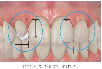 056c7b8f5f907d9791deabfa8b76501e_1763629913_2368.png 056c7b8f5f907d9791deabfa8b76501e_1763629913_2368.png