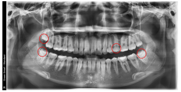 6bd6c6c178124bb1ac90c140aac59390_1764040458_8722.png 6bd6c6c178124bb1ac90c140aac59390_1764040458_8722.png