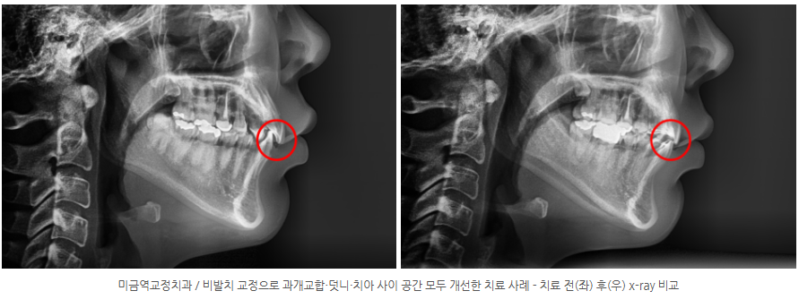 52bb23ddadca50c076512e6a331643a2 1766370020 6486