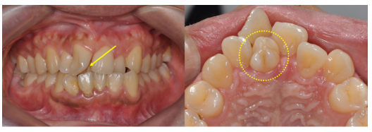 54f75e61760e93d0078492f7f3506599_1764551894_8891.png 54f75e61760e93d0078492f7f3506599_1764551894_8891.png