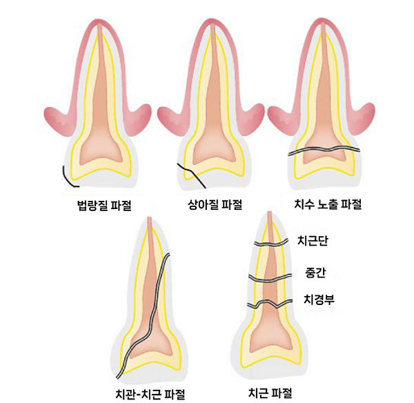 65a24a77fa9ff220a245e822aa79d1f5_1764726682_9548.png